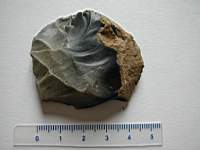 33-Chamadelle-Go- (55).JPG